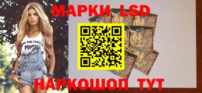 шишки Славгород