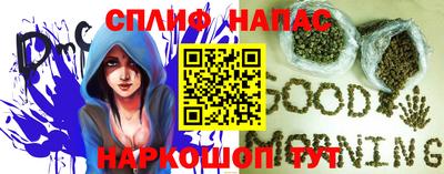 шишки Славгород