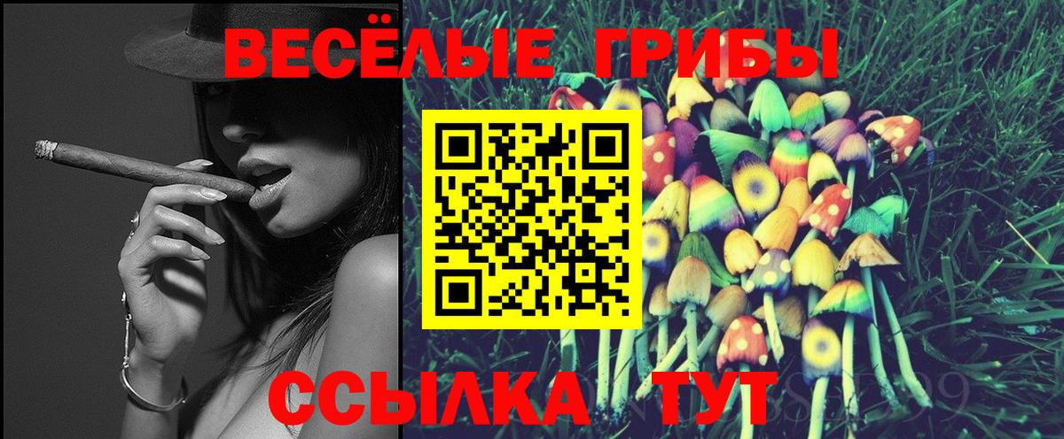 Псилоцибиновые грибы MAGIC MUSHROOMS  Псилоцибиновые грибы MAGIC MUSHROOMS  Вход с VPN  Скопин 